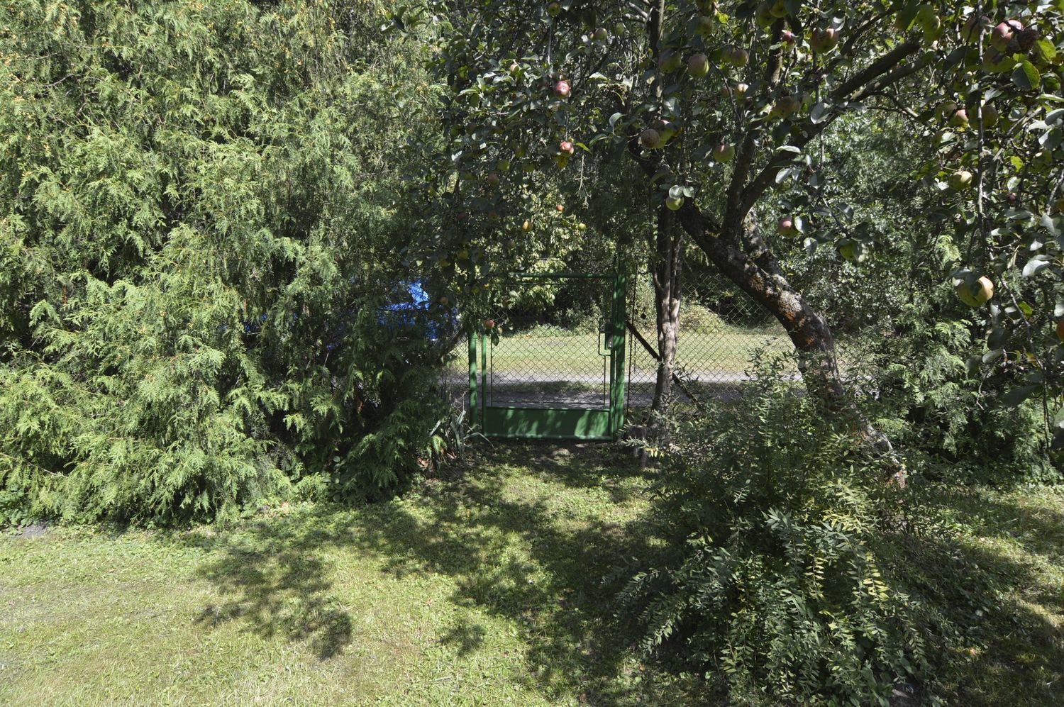 Zahrada u lesa se zahradním domkem v Týništi nad Orlicí. - obrázek č.11