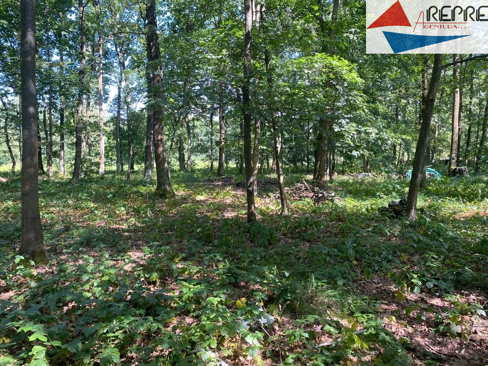 Kersko - prodej stavebního pozemku - obrázek č.3