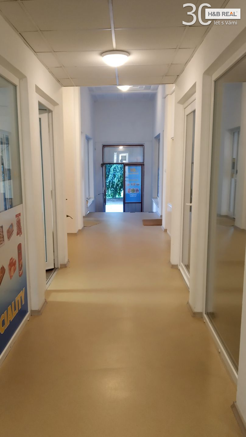Pron. rek. kom. prostoru (obchod, jiné aktivity, Hranice) - obrázek č.15