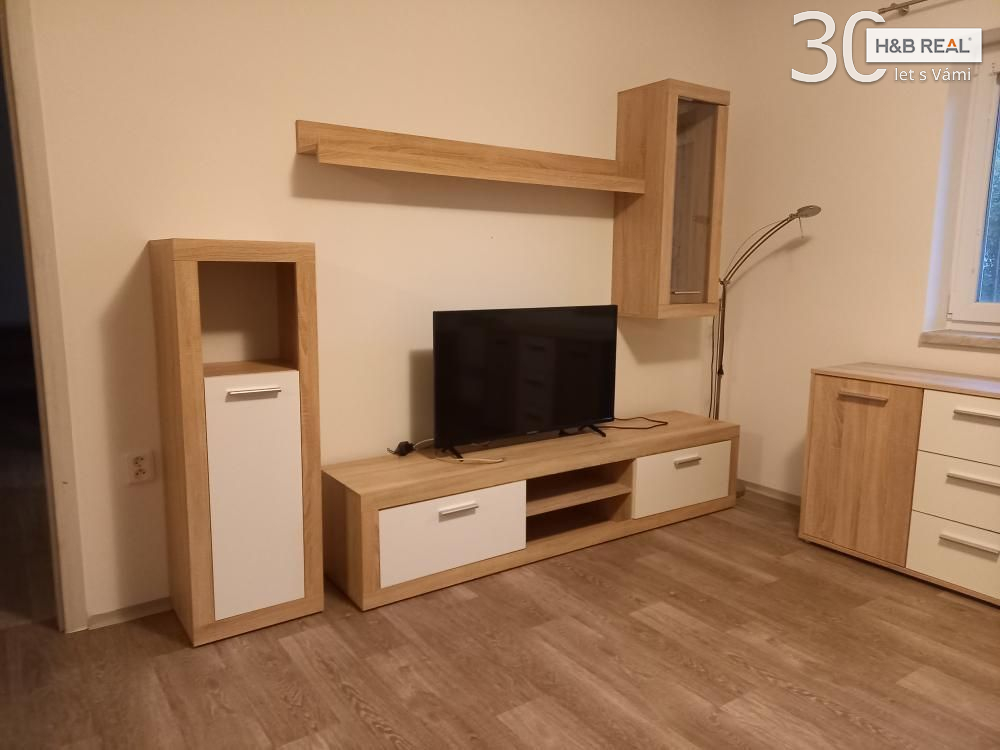 Pronájem RD 3+1 - obrázek č.5