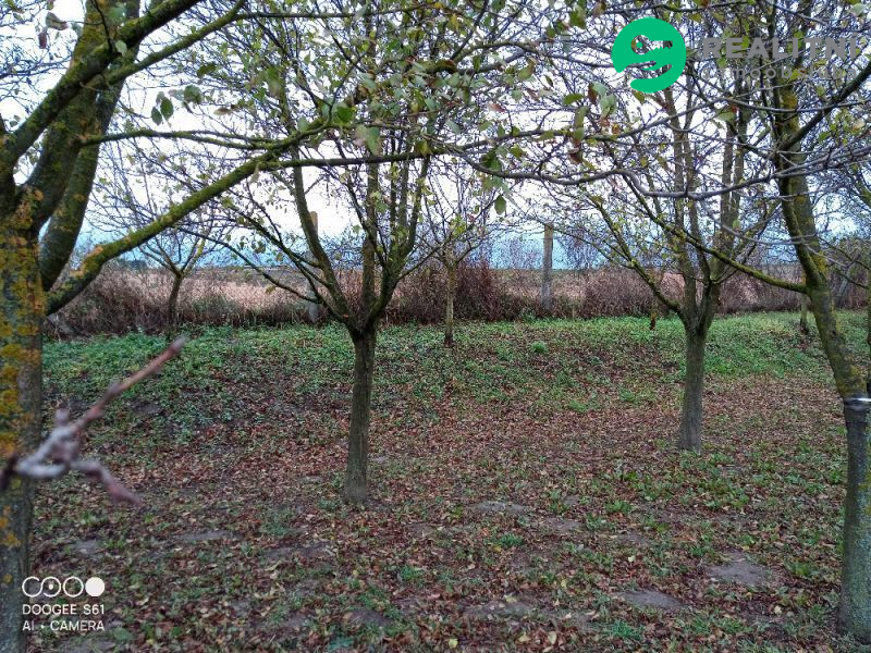 zahrada 608m2 v obci Čejč okr. Hodonín - obrázek č.4