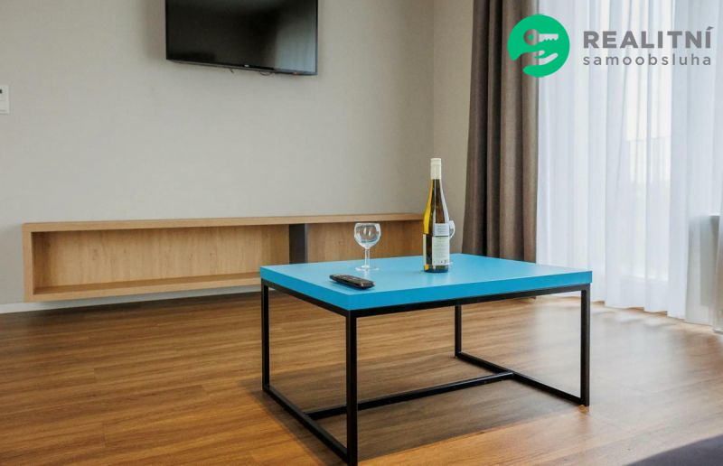 Pronájem bytu 2+kk 66 m² Pallova, Plzeň - obrázek č.4