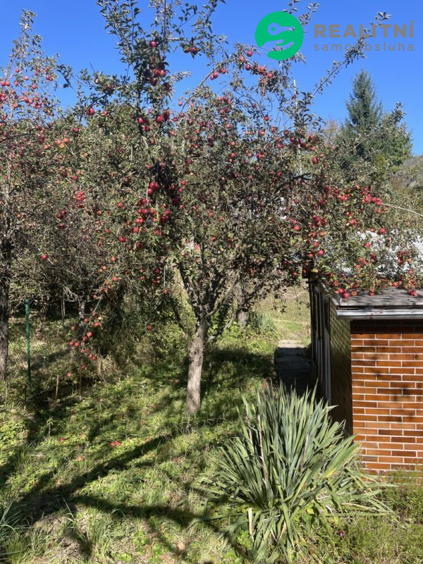 Chata kousek od Brna - obrázek č.4