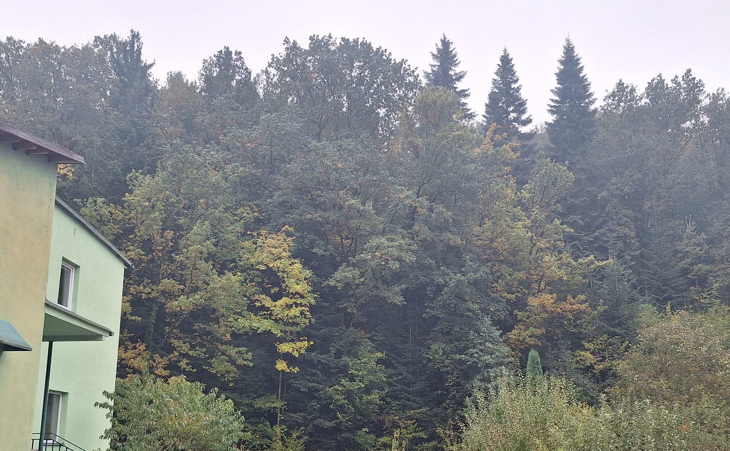 Malý les v Novém Městě nad Metují - obrázek č.7