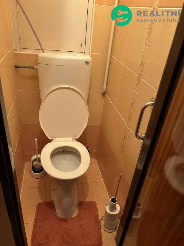 Byt 3+1 Jeseník nad Odrou - obrázek č.7