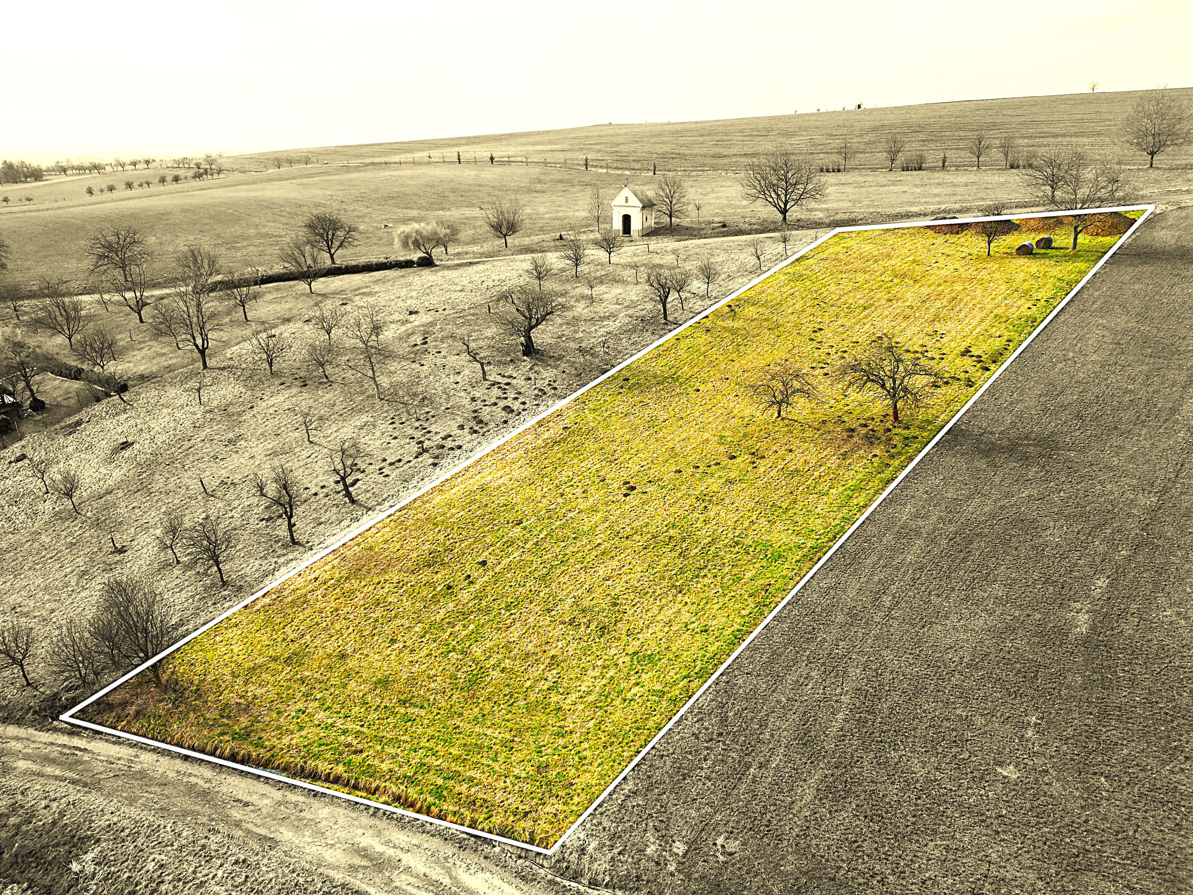 Prodej, Zahrada, 2.399m2, Bořenovice - titulní obrázek--
