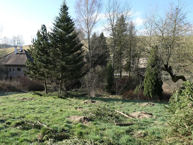 Prodej zahrady 413 m² v osadě Velký Dřevíč u Hronova - titulní obrázek--